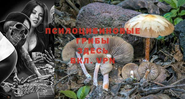 дживик Липки